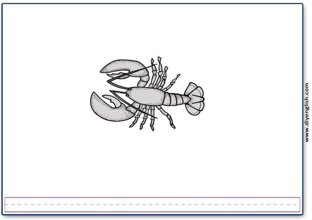 lobster – Blank – colour & write flashcard