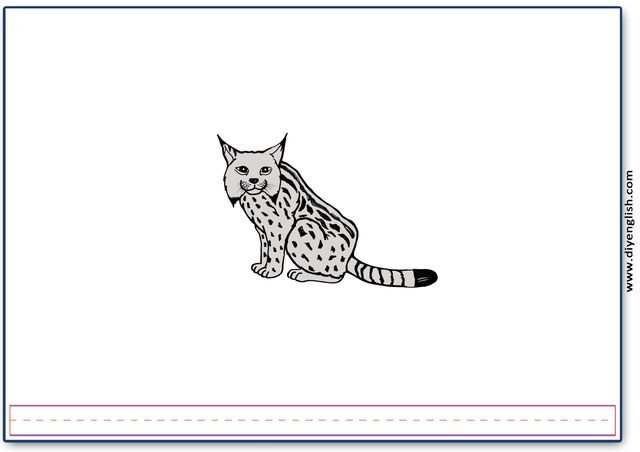 lynx – Blank – colour & write flashcard