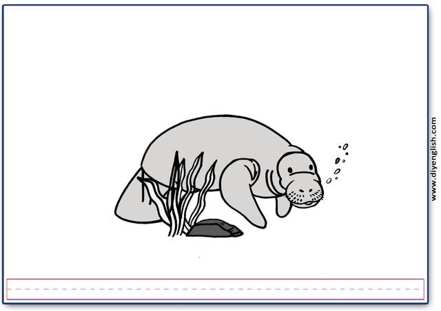 manatee – Blank – colour & write flashcard