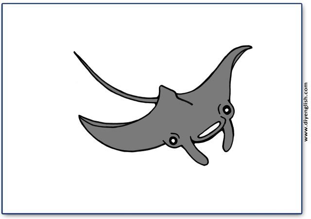 manta ray – Blank – colour & write flashcard
