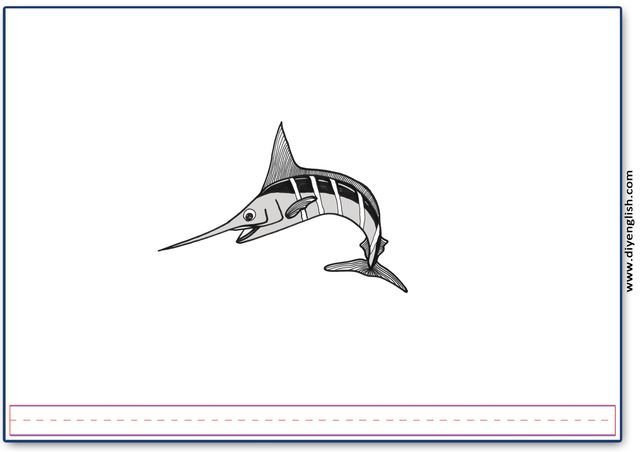 marlin – Blank – colour & write flashcard