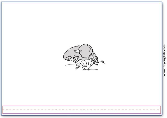 mole – Blank – colour & write flashcard