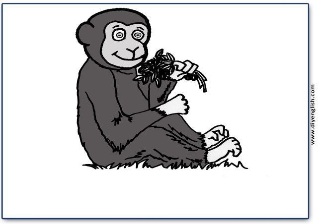 monkey – Blank – colour & write flashcard