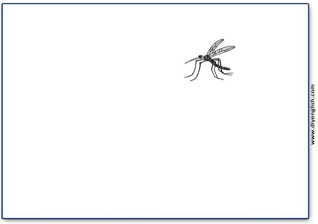 mosquito – Blank – colour & write flashcard