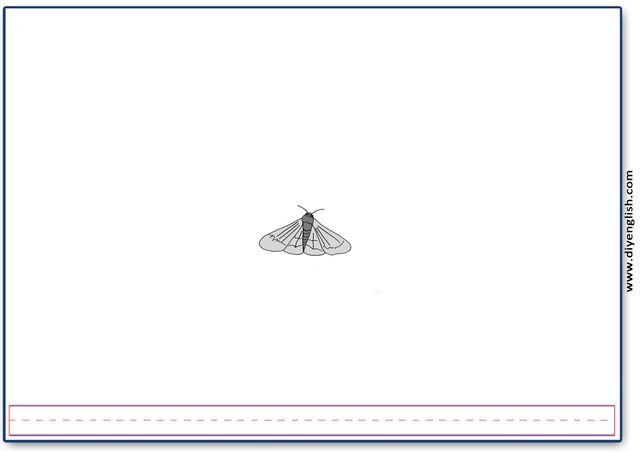 moth – Blank – colour & write flashcard