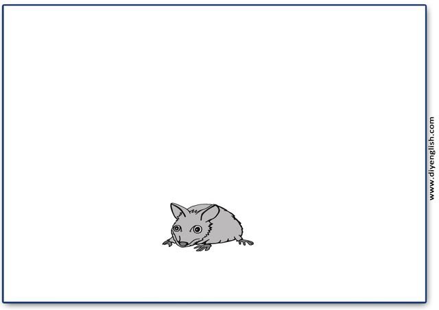 mouse – Blank – colour & write flashcard