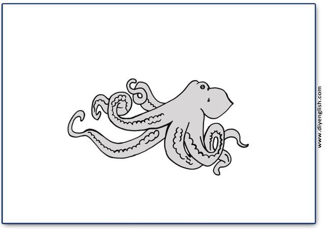octopus – Blank – colour & write flashcard