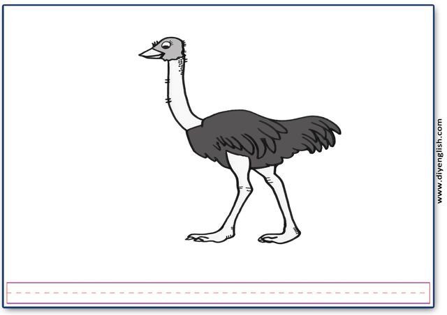 ostrich – Blank – colour & write flashcard