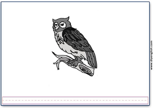 owl – Blank – colour & write flashcard
