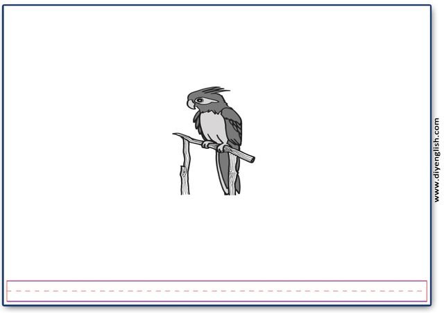 parrot – Blank – colour & write flashcard
