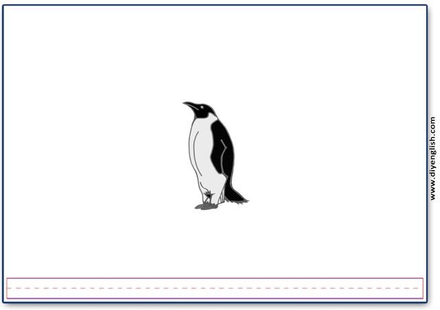 penguin – Blank – colour & write flashcard