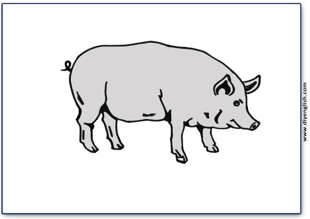 pig – Blank – colour & write flashcard