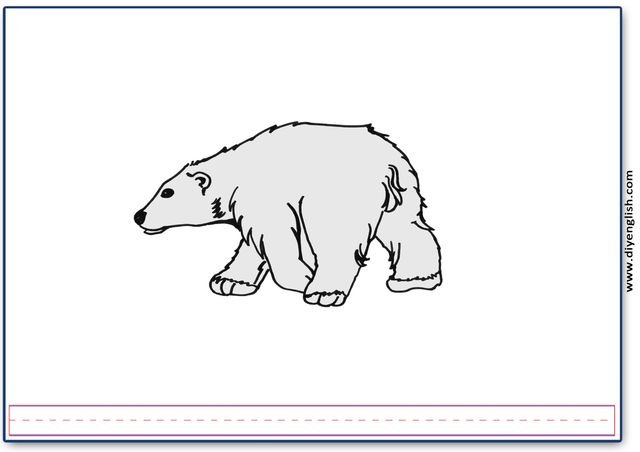 polar bear – Blank – colour & write flashcard