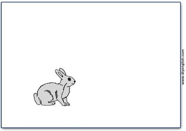rabbit – Blank – colour & write flashcard