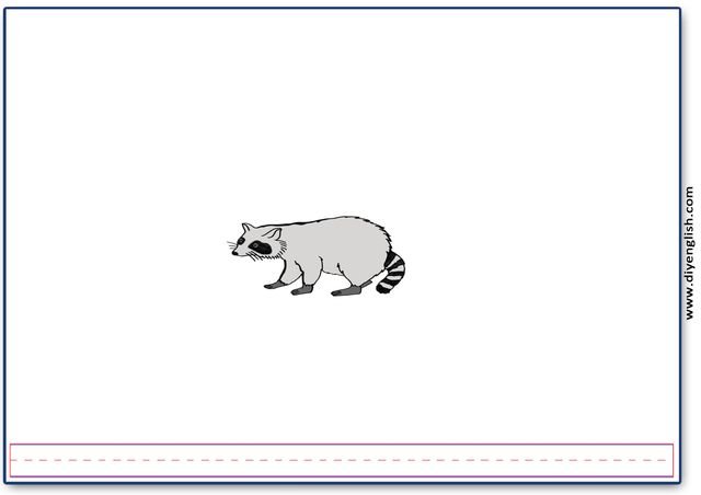 raccoon – Blank – colour & write flashcard