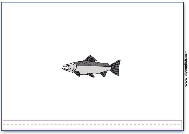 salmon – Blank – colour & write flashcard