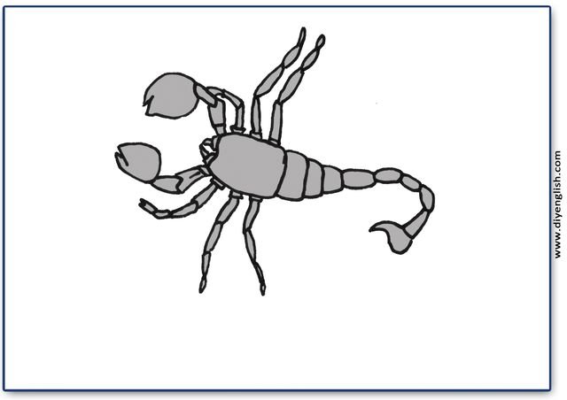 scorpion – Blank – colour & write flashcard