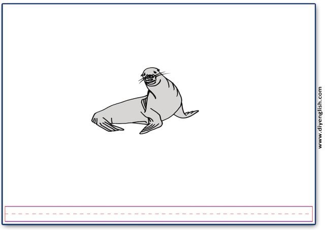 seal – Blank – colour & write flashcard