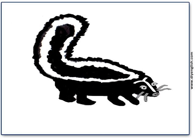 skunk – Blank – colour & write flashcard