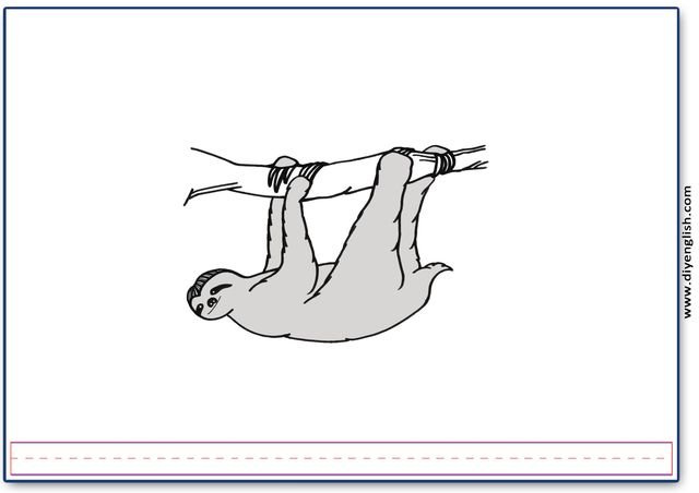 sloth – Blank – colour & write flashcard