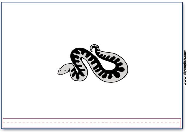 snake – Blank – colour & write flashcard