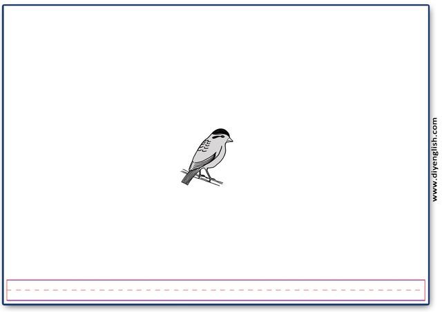 sparrow – Blank – colour & write flashcard