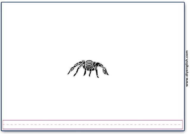 spider – Blank – colour & write flashcard