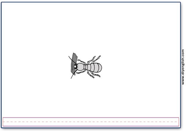termite – Blank – colour & write flashcard