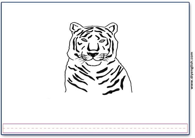 tiger – Blank – colour & write flashcard