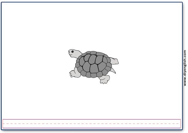 turtle – Blank – colour & write flashcard