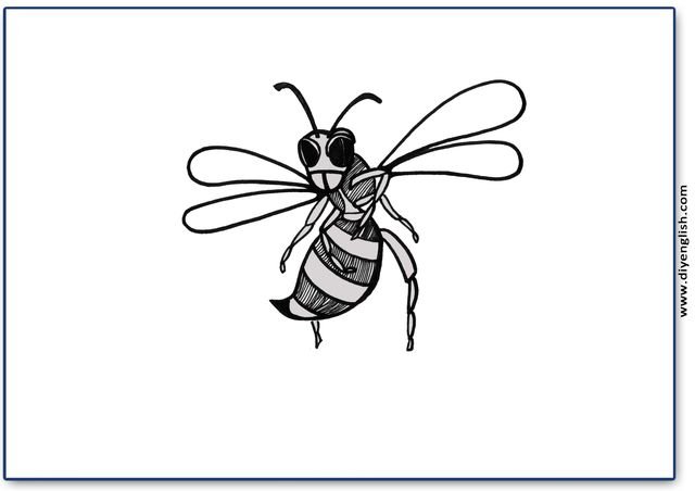 wasp – Blank – colour & write flashcard