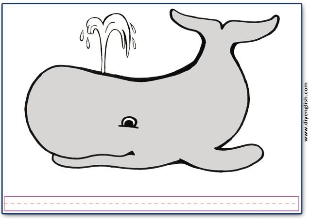 whale – Blank – colour & write flashcard