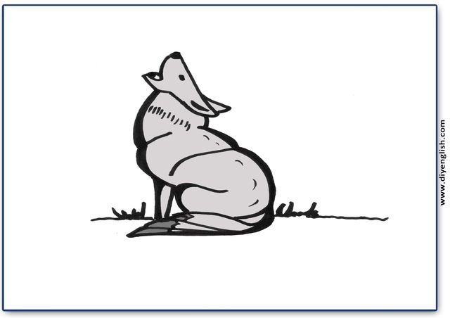 wolf – Blank – colour & write flashcard
