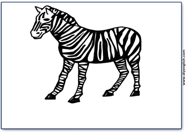 zebra – Blank – colour & write flashcard
