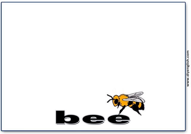 bee – Colour word flashcard