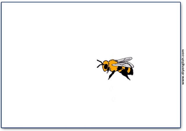 bee – Colour blank flashcard