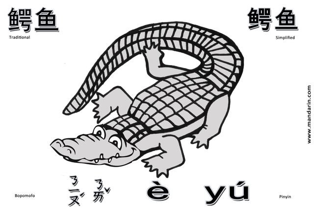 alligator – Chinese & Pinyin flashcard