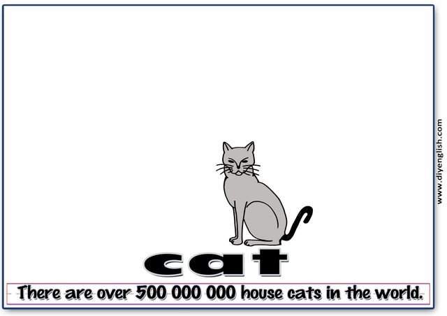 cat – Word & fun-fact sentence flashcard