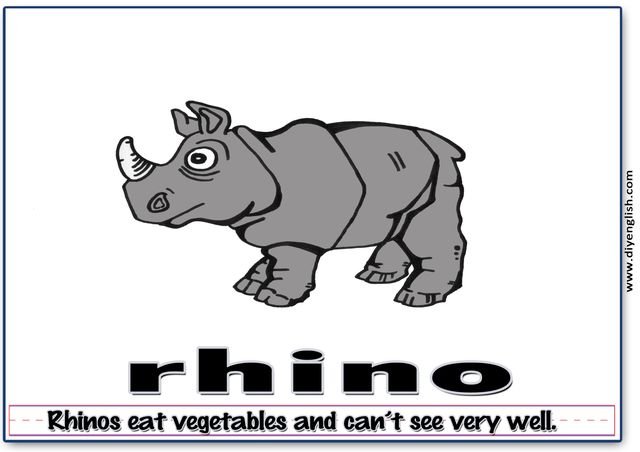 rhino – Word & fun-fact sentence flashcard