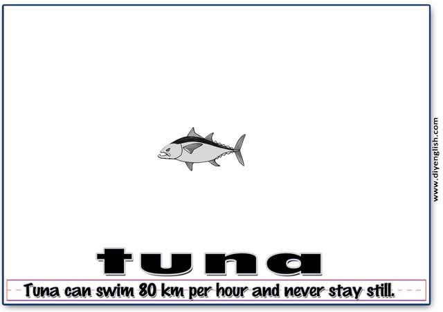 tuna – Word & fun-fact sentence flashcard