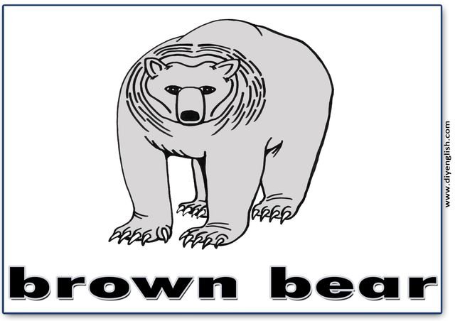 brown bear – English word flashcard