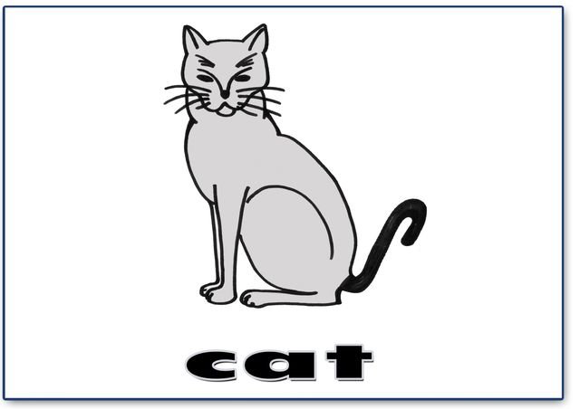 cat – English word flashcard