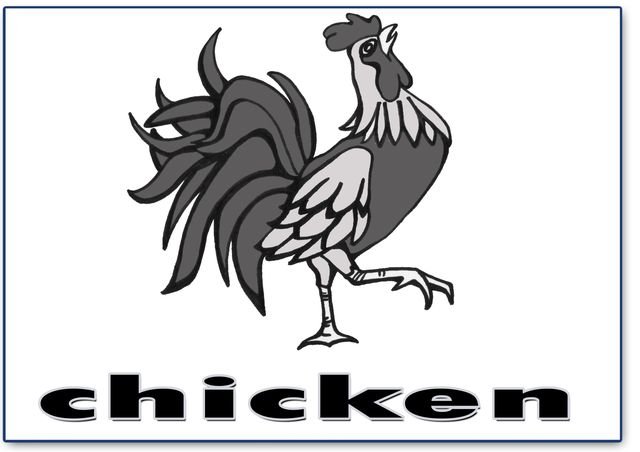 chicken – English word flashcard