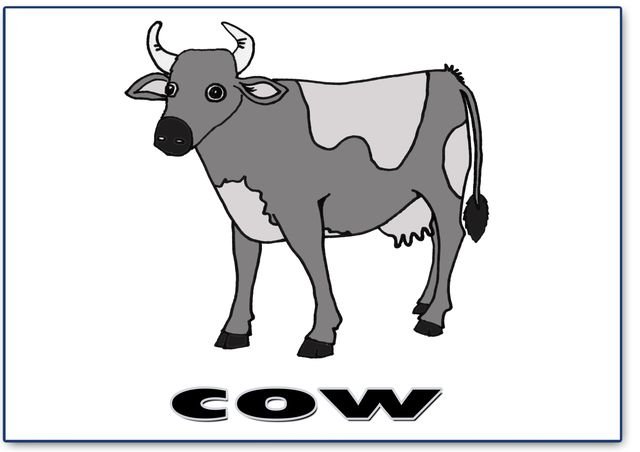 cow – English word flashcard