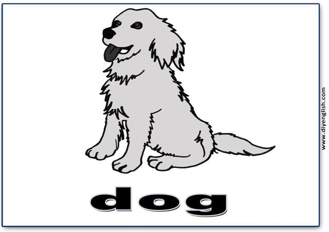 dog – English word flashcard