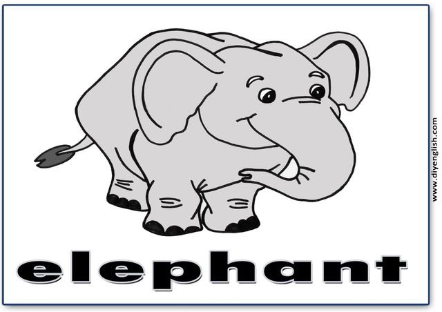 elephant – English word flashcard