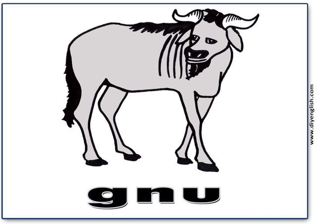gnu – English word flashcard