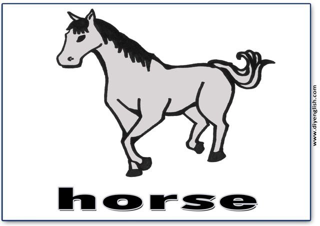 horse – English word flashcard
