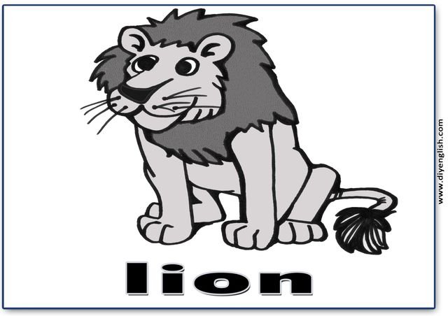 lion – English word flashcard