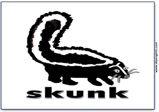 skunk – English word flashcard